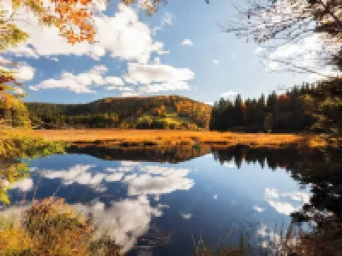 Spacious duplex at Matthieu's. Sleeps 1 to 6. Hotels in Remiremont