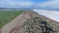Cozy cabin for 6 people on the beachfront of La Trinchera Beach Hotel a