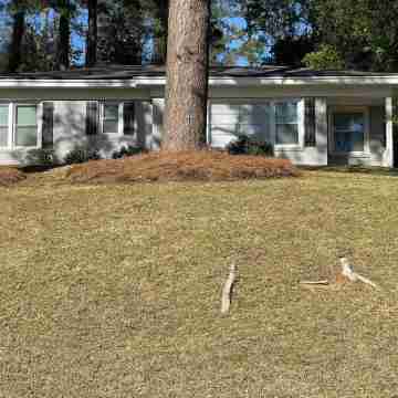 3-bedroom house in delightful Macon with WiFi, AC Hotel Exterior