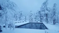 Endemiko - Pool