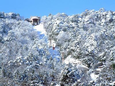ホテル周辺 城崎温泉 お宿 白山 花まんだらの写真