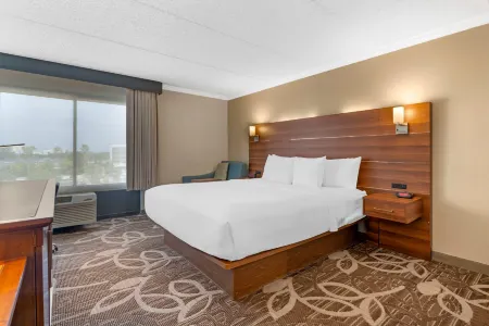 Comfort Inn Anaheim Resort