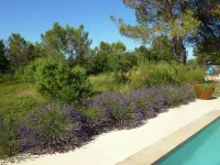 Saint-Siffret: Forest & Pool - Villaer
