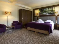 Hotel Mercure Krynica Zdrój Resort&Spa