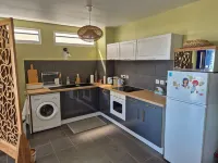 ニュー パラダイス サンクチュアリ