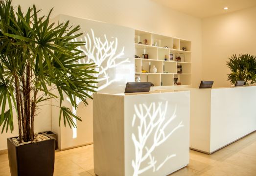 피에스타 인 페리페리코 수르 외관