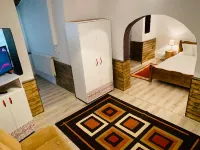 Vila Ursu Hotels in 