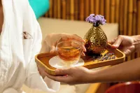 Ritz Lagoa da Anta Hotel & Spa - spa
