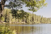 Family Cabin in Blue Lake Springs, Near Town! - Gym