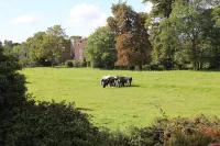 The Coach House Hotels in Winterbourne