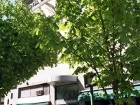 尹哥帝娜飯店 科莫住宿飯店