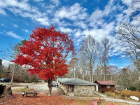 Parkview Lodge & Cabins Hotels in Avery County