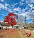 Parkview Lodge & Cabins