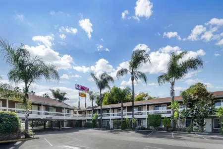 Best Western Plus Carriage Inn