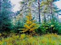 8 person holiday home in Fjerritslev-By Traum