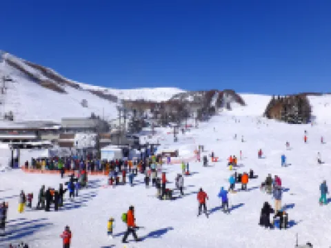 Wisterian Life Club Prominent Kurumayama Kogen