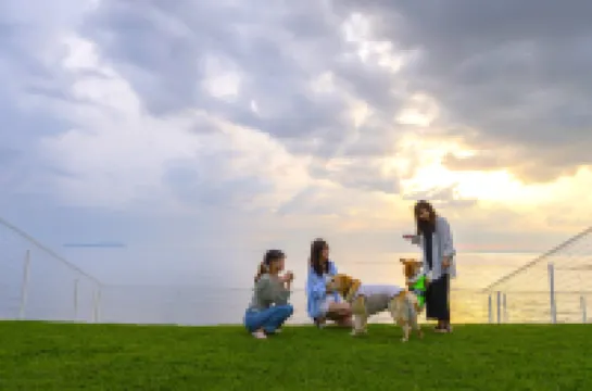 Ocean Dog Resort Chichibugahama