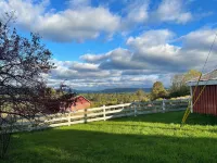 Quiet farmhouse with amazing views - close to skiing in Ellicotville!