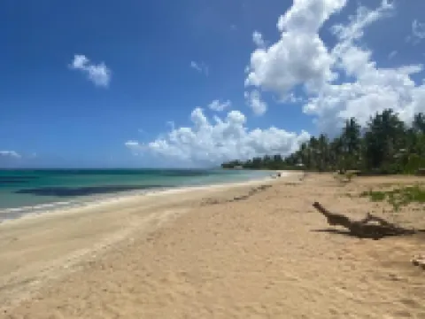 Empyrean Tropical Wellness Portillo Hotels in El Limon