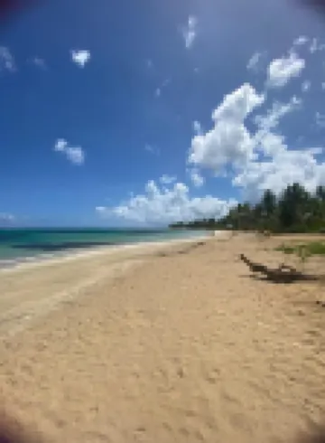Empyrean Tropical Wellness Portillo