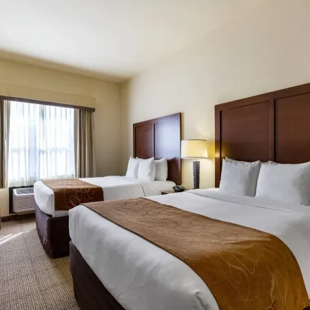 Comfort Suites Near NASA - Clear Lake