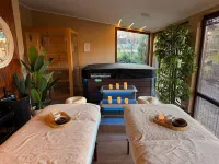 Casa Dives - Varianta Boierească - spa