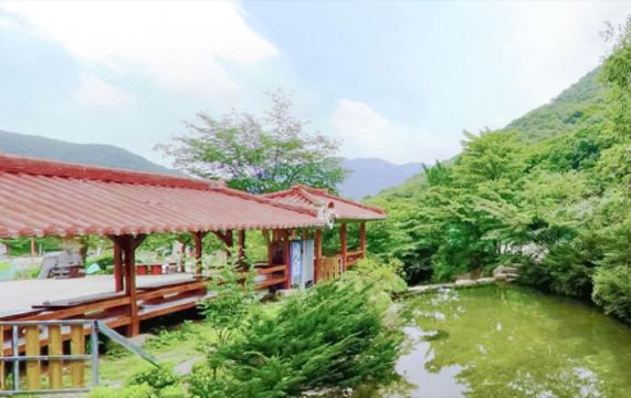 캠핑장 주변 전경