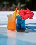 Marafiki Bungalows - bar