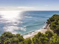 Gala I Hotels near Cala Bot