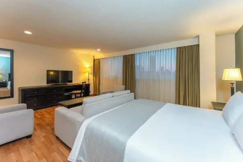 Hotel Dann Av. 19 - วิวภูเขา