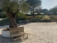 So Magoito Hotels in Sintra