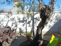 Il Marchese di Trani - Villa Luxury Hotels in Bisceglie
