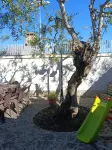 Il Marchese di Trani - Villa Luxury