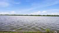 Rochester Lakeview 4br With Firepit Sleeps 6 4 Bedroom Home - 4-Star