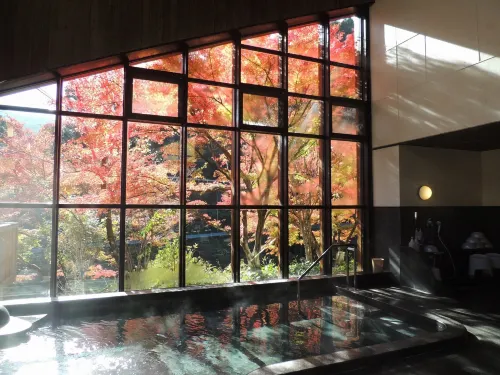 Nakatsukeikoku Yunomori - Homestays