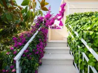 Apartments Roda - 3-Star