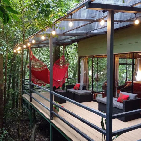Jungle Living Tree Houses