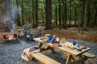 Postcard Cabins Eastern Catskills - 3-Star