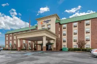 Comfort Inn Aikens Center - プール