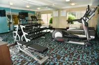 Fairfield Inn & Suites Hartford Airport - Gym