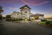 Hampton Inn Oakland/Hayward - Wifi