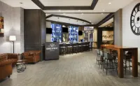 Hilton Alexandria-Old Town - bar