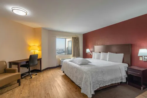 Red Roof Plus+ El Paso East - Pet-friendly
