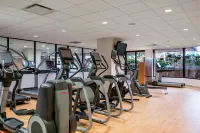 Sheraton Hotel Newfoundland - palestra