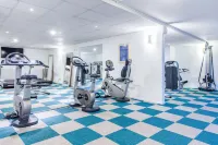 麗笙藍標酒店-馬爾默 - 健身室/gym room