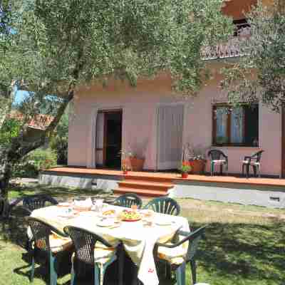 Wilma Hotel Exterior