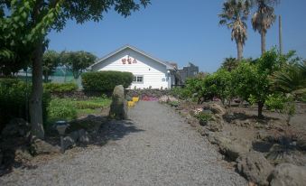 Jeju Palm Hills Pension