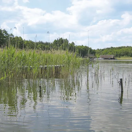Kranich