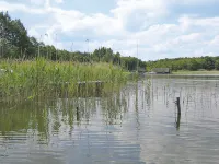 Kranich