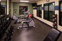 Hampton Inn & Suites Carson City - Gym